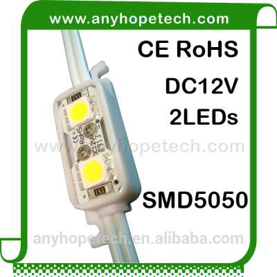 dc12v 0.48w 2LEDs rohs 5050 smd module led